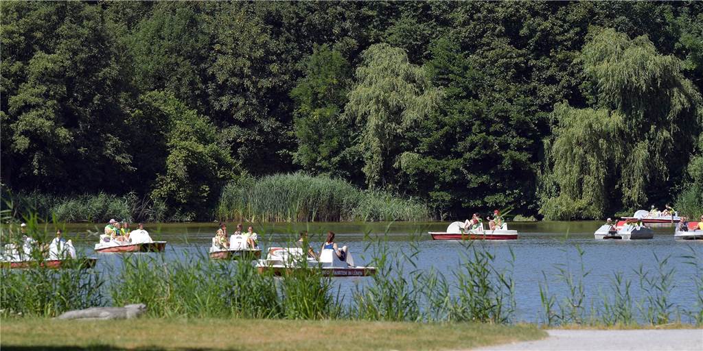 Tote Aale im Cappenberger See: Angler haben eine Erklärung Der Cappenberger See ist bei Tretbootfahrern beliebt, wie das Archivbild zeigt. Eine Besucherin entdeckte jetzt tote Aale im Wasser.