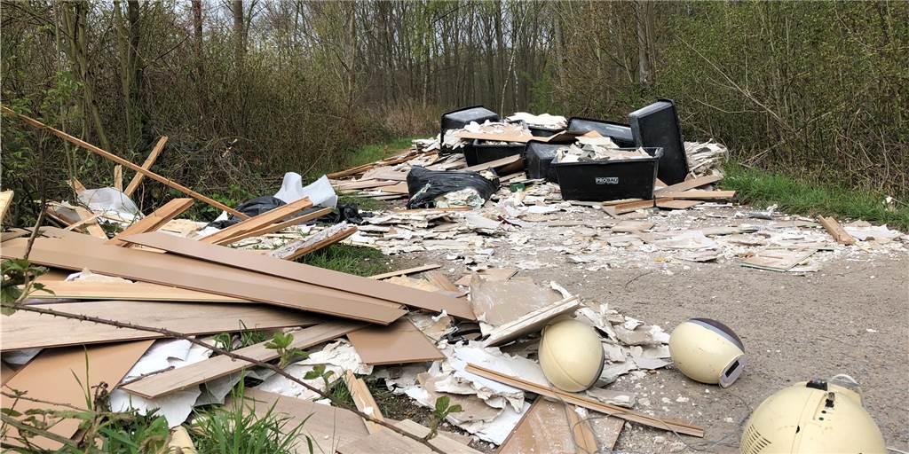 Zahl der wilden Müllkippen ist in Castrop-Rauxel dramatisch gestiegen Eine riesige wilde Müllkippe im Grutholz hatte im April für Aufsehen gesorgt.
