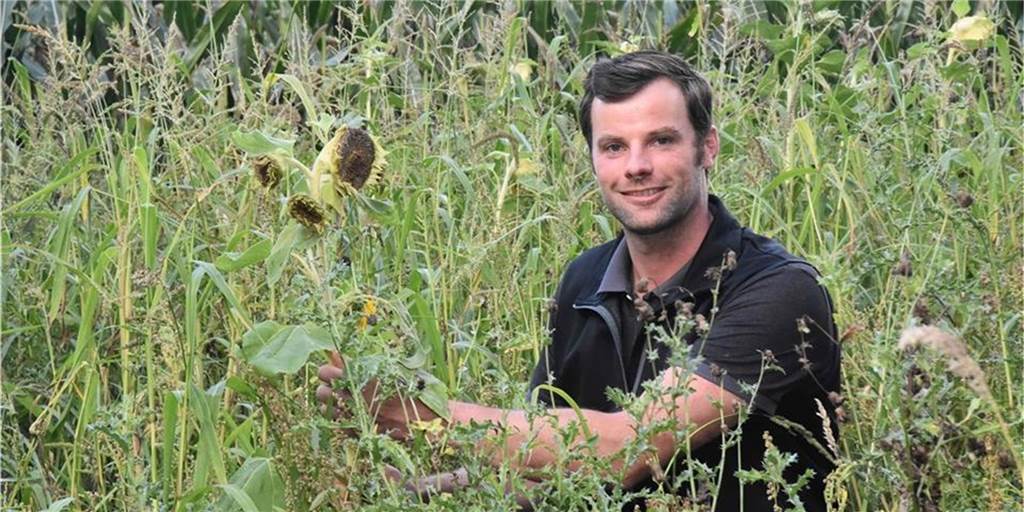 Hof Hubbeling in Doemern ist jetzt „Leitbetrieb Biodiversität“ Damit kennt er sich aus: Hendrik Hubbeling (34) in einem Streifen mit Durchwachsener Silphie. Der Hof in Vreden-Doemern wird neuer Leitbetrieb Biodiversität. Davon gibt es landesweit nur noch 13 weitere.