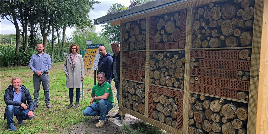 Bohrmaschine glühte anderthalb Wochen für riesiges Insektenhotel Ein riesiges Insektenhotel hat am Regenrückhaltebecken an der Straße "Im Bruch" eröffnet - Wildbienen sind hier willkommen.