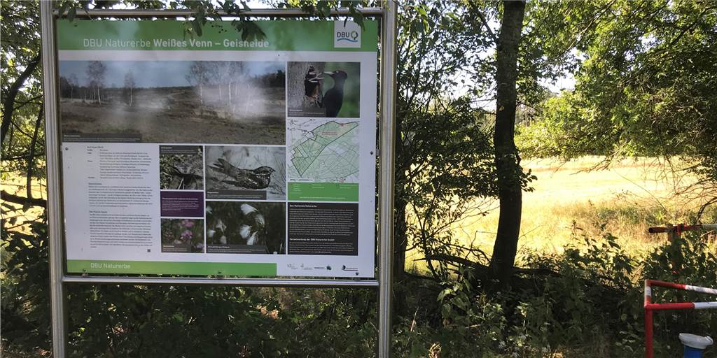 Truppenübungsplatz: Land unterstützte Freigabe mit viel Geld Das Gebiet Weißes Venn/Geißheide befindet sich im Besitz der DBU Naturerbe.