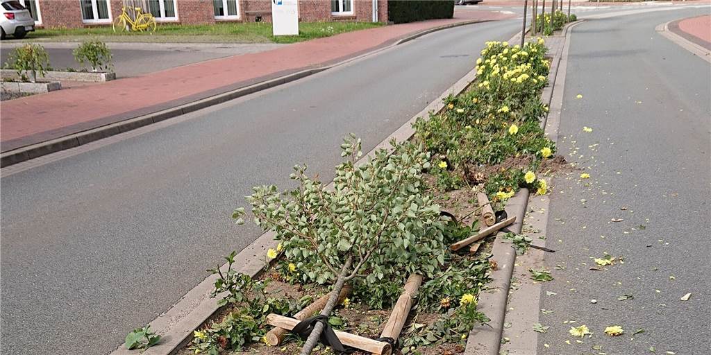 Der Unbekannte ließ auf der Mittelinsel der B70 auf Höhe Markt 1 einen für die Gemeinde ärgerlichen Schaden zurück.