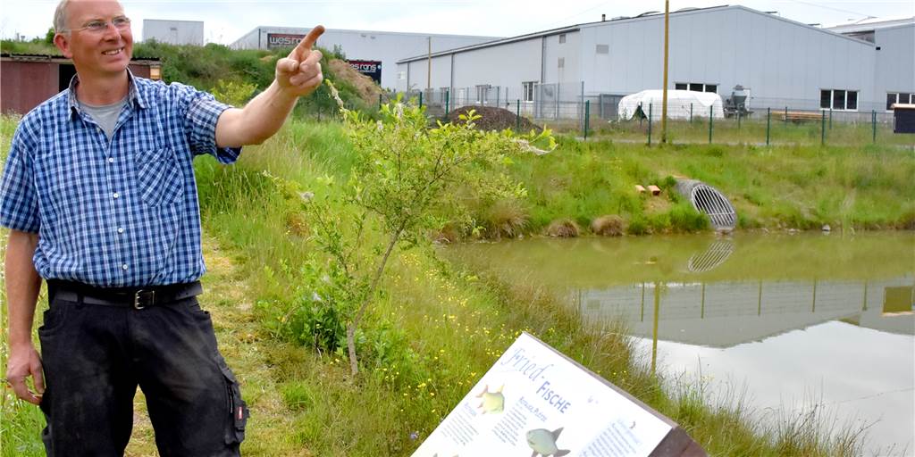 Biotop im Gewerbegebiet und Imkerverein gewinnen beim Heimatpreis Jürgen Gesing, Jugendleiter beim Fischereiverein Gemen-Burlo-Gelsenkirchen, hatte vor ein paar Jahren die Idee für das Biotop rund um das Regenrückhaltebecken. Mit vielen Helfern hat er sie umgesetzt. Dafür bekam er jetzt den ersten Platz beim Heimatpreis – dotiert mit immerhin 3000 Euro.
