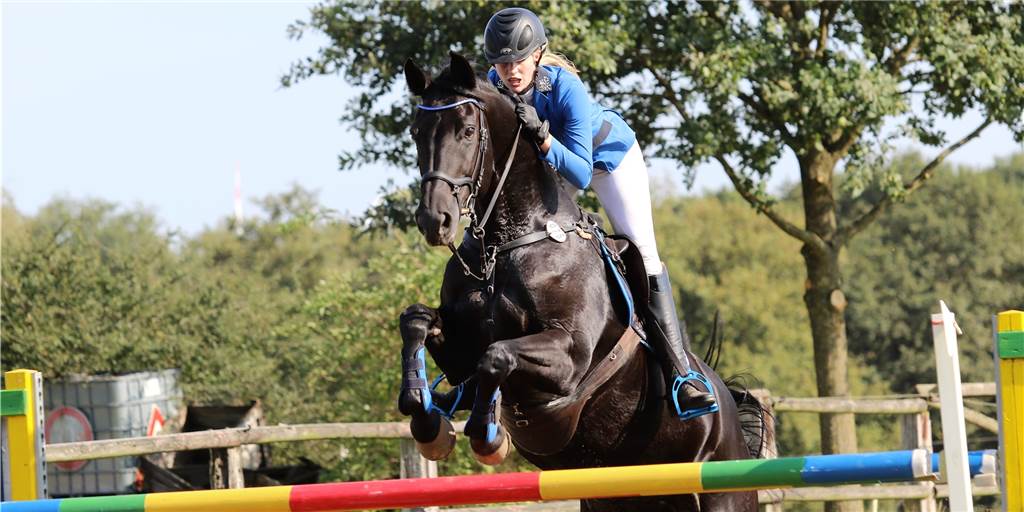 Mit vielen Fotos: Rund 400 Nennungen beim Turnier auf dem Reiterhof Kloth Auf dem Reiterhof Kloth war am Wochenende beim alljährlichen Reitturnier wieder viel los.