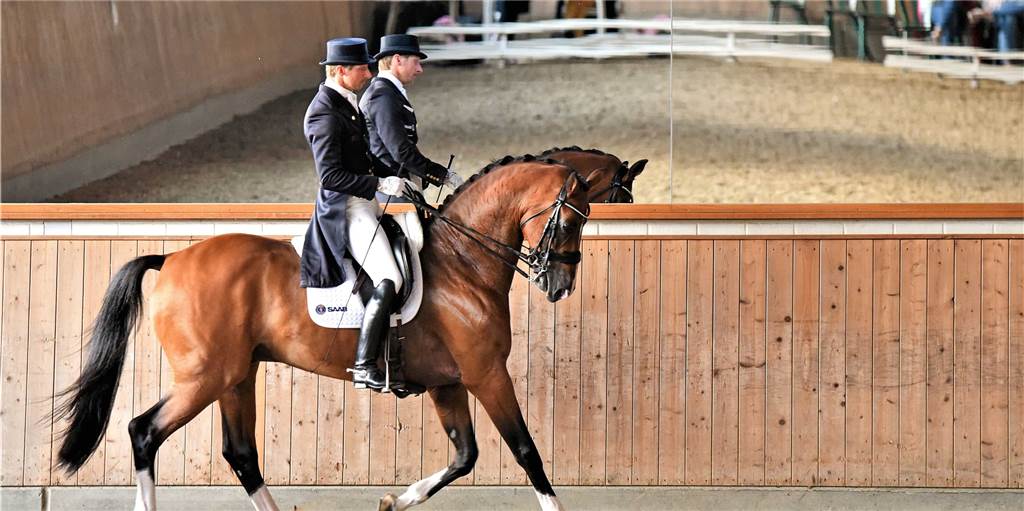 Europameister und Olympia-Teilnehmer: Reit-Elite traf sich in Dorsten Europameister und Olympia-Teilnehmer: Reit-Elite traf sich in Dorsten