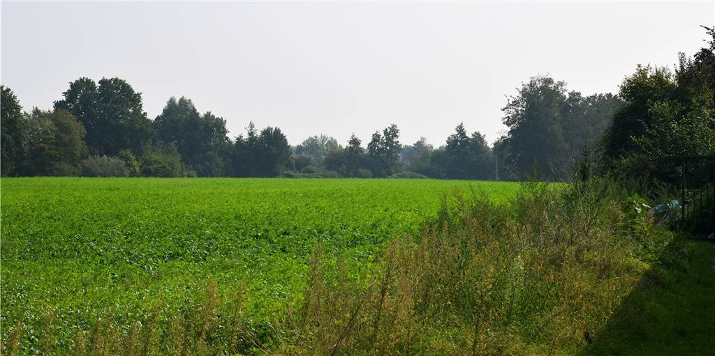 Politik bremst Photovoltaik-Anlagen aus - Bauantrag für Solarpark Auf der Fläche am Fuchsbach möchte eine Firma eine Photovoltaik-Flächenanlage errichten.