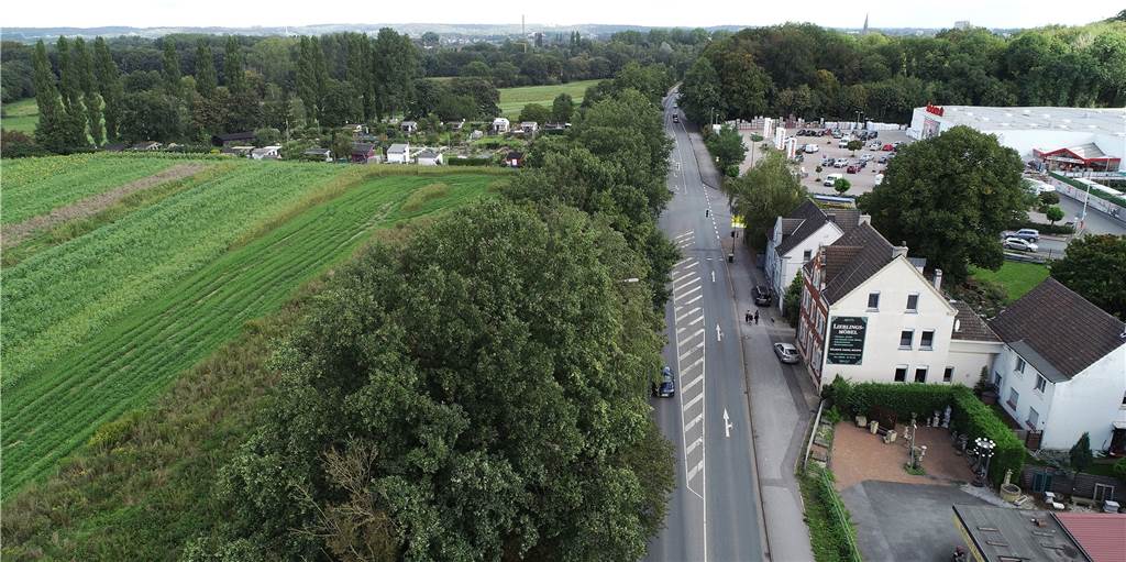 Kleingärtner am Buchenberg in Lünen sauer: Landwirt kündigt Verträge Rechts die B54, links der Kleingärtnerverein Buchenberg. Den Kleingärtnern wurde ihr Pachtvertrag gekündigt.