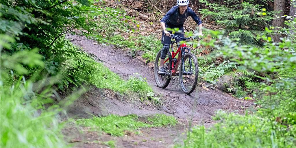 Laufende Gespräche über legale Mountainbike-Strecke in Dortmunds Wäldern Mountainbiker im Naturschutzgebiet sind für viele ein Ärgernis. Die Politik sucht nun den Kontakt mit den Sportlern.