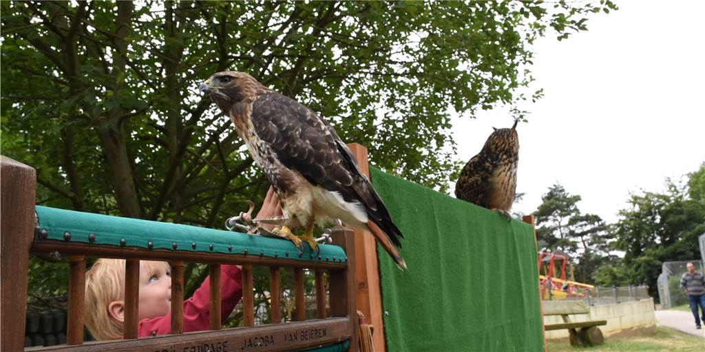 Tierpark Eversum: Besucher konnten Eintritt bestimmen - viele zahlten nur Cents Tierpark Eversum: Besucher konnten Eintritt bestimmen - viele zahlten nur Cents