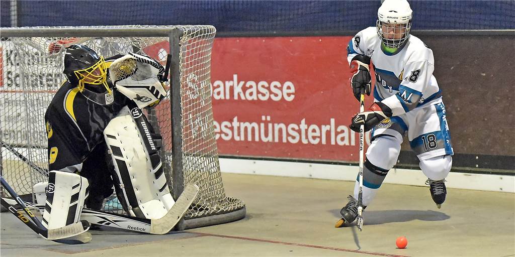 Maidy Dogs in den Startlöchern für besondere Saison Zu den Routiniers im Ahauser Regionalliga-Team zählt Sebastian Gunawan (r.).