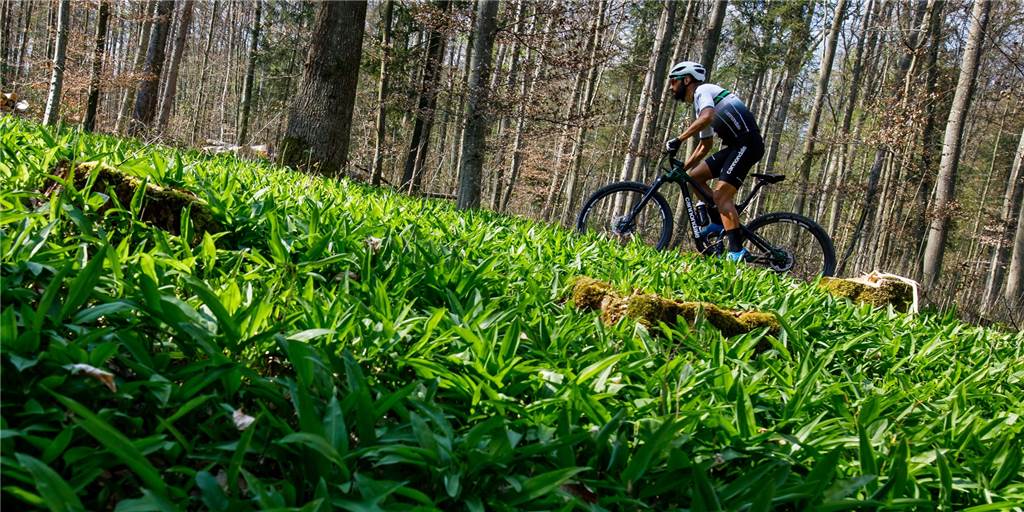 In Dortmund wird es vielleicht  eine neue Strecke für Mountainbiker geben.