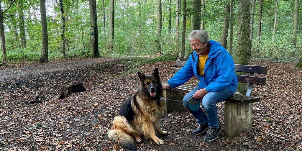 Kurz-Wanderung durch den Stadtwald mit Relikten aus der Trimm-Dich-Ära Kurz-Wanderung durch den Stadtwald mit Relikten aus der Trimm-Dich-Ära