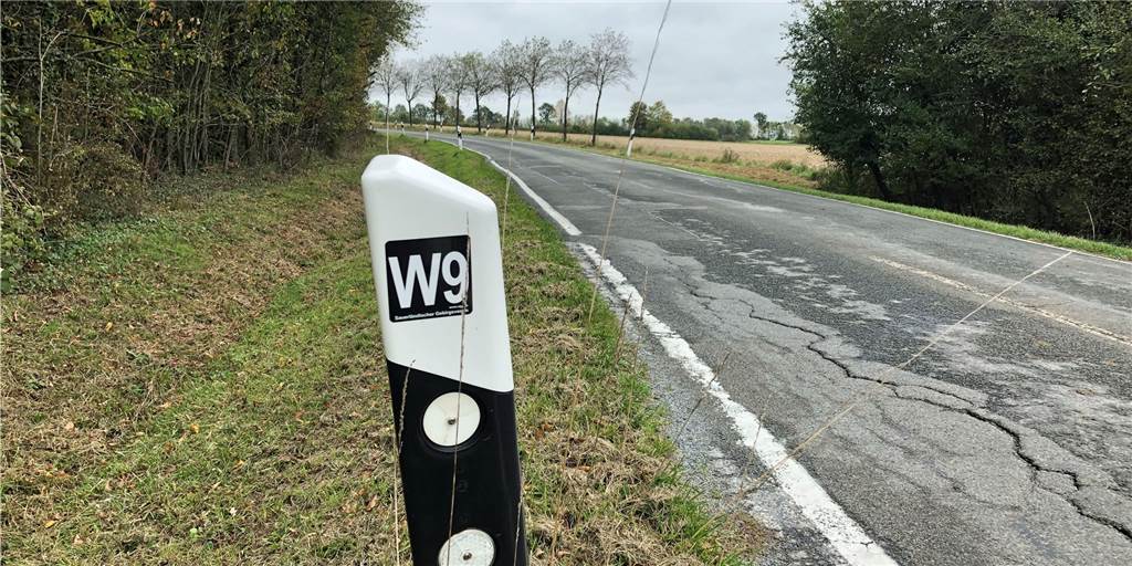 Ein schöner Rundwanderweg ohne Gift, aber mit Beschallung Der erste halbe Kilometer (je nach Startrichtung) des W9 führt längs der Wesseler Straße. Dann biegt man links in den Wald ab. Auch diese Route ist hervorragend in beide Richtungen beschildert.