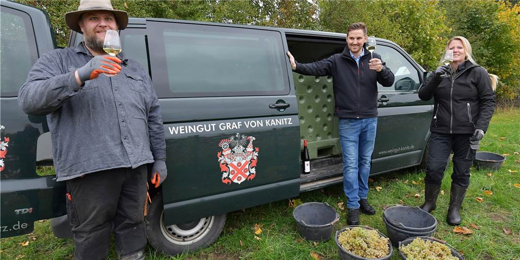 Beim Weingut Graf von Kanitz freut man sich bereits auf den Riesling, der aus der aktuellen Ernte zu erwarten ist.