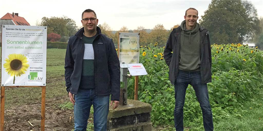 Sonnenblumen zum Selberpflücken für den guten Zweck in Legden Auch in diesem Jahr kann man in Legden wieder Sonnenblumen für den guten Zweck pflücken.