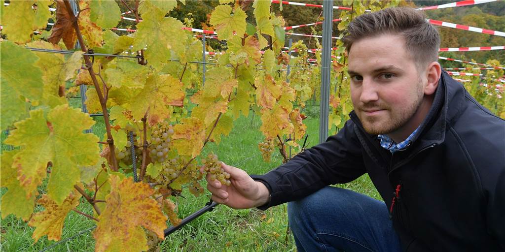 Marc Leitis (29) ist der neue Leiter des Weingutes in Cappenberg Marc Leitis ist der neue Betriebsleiter des gräflichen Weingutes.