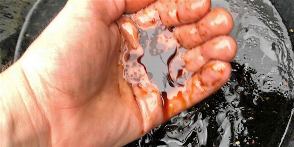 Unbekannte, fettige Substanz schwimmt auf der Schlinge – Angler sauer Ein Mitglied des Oedinger Angelvereins hat sich die unbekannte Substanz aus der Schlinge einmal näher angesehen.