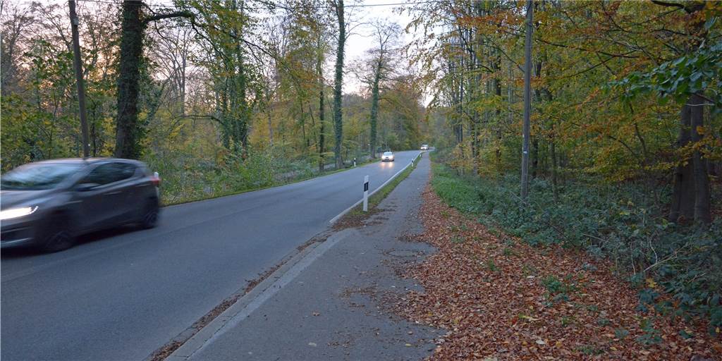 Wernes längster Wanderweg bietet Abwechslung - und tückische Stellen Der Wanderweg W6 führt durch den Cappenberger Wald und Langern und hat viel zu bieten. Leider auch knifflige Stellen.