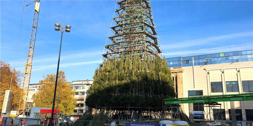 Am Freitag (6.11.) stand der halbfertige Riesen-Weihnachtsbaum noch auf dem Hansaplatz – am Montag soll der Rückbau beginnen. Was passiert mit den 1700 Rotfichten?