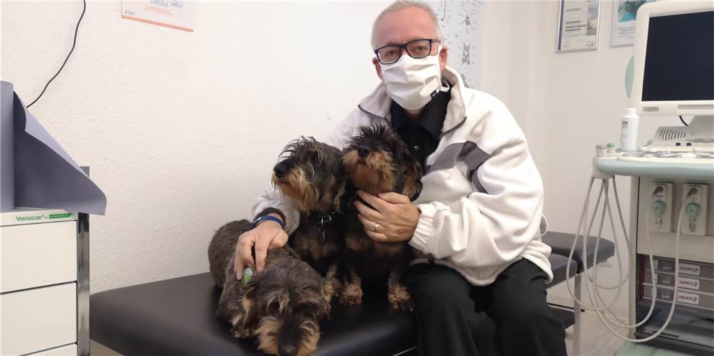 Giftköder gefressen? Tierarzt gibt fünf Tipps für Hunde-Besitzer Seit rund 30 Jahren arbeitet Tierarzt Volker Borchers in Scharnhorst und versorgt dort seine tierischen Patienten.