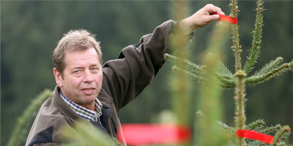 Weihnachtsbäume werden in Dortmund wegen Corona teurer Die meisten Weihnachtsbäume, die in Dortmund verkauft werden, kommen aus dem Sauerland. Einer, der sie sehr gut kennt, ist Eberhard Hennecke aus Sundern.
