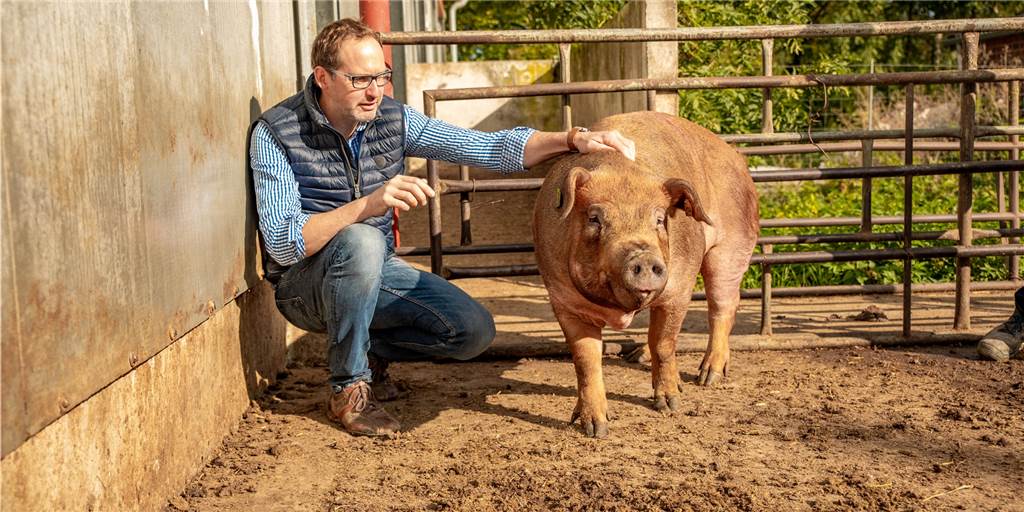 Landwirt Wiesmann setzt auf Direktvermarktung seiner Duroc-Schweine Markus Wiesmann mit einem seiner Dinkel-Duroc-Schweine, die er jetzt direkt auf seinem Hof vermarktet.