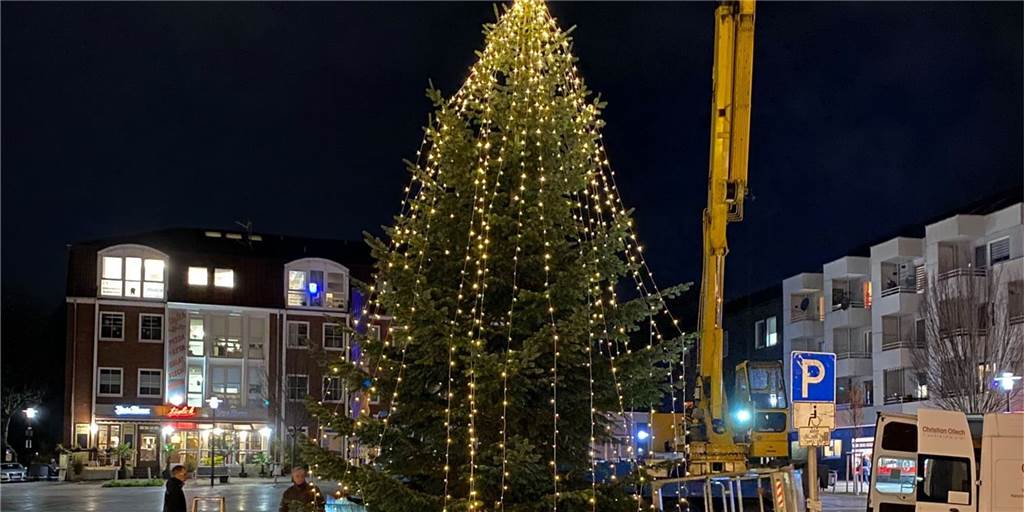 Keine Riesentanne – dafür steht Dortmunds größter echter Weihnachtsbaum Im Dortmunder Westen leuchtet bereits Dortmunds wohl größter echter Weihnachtsbaum.