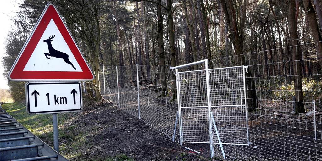 Wildschutzzaun: Verlängerung bis Flaesheim wird angestrebt Bisher hat Straßen.NRW den Wildschutzzaun am Bossendorfer Damm nur bis zu Ausfahrt Recklinghäuser Straße errichtet.