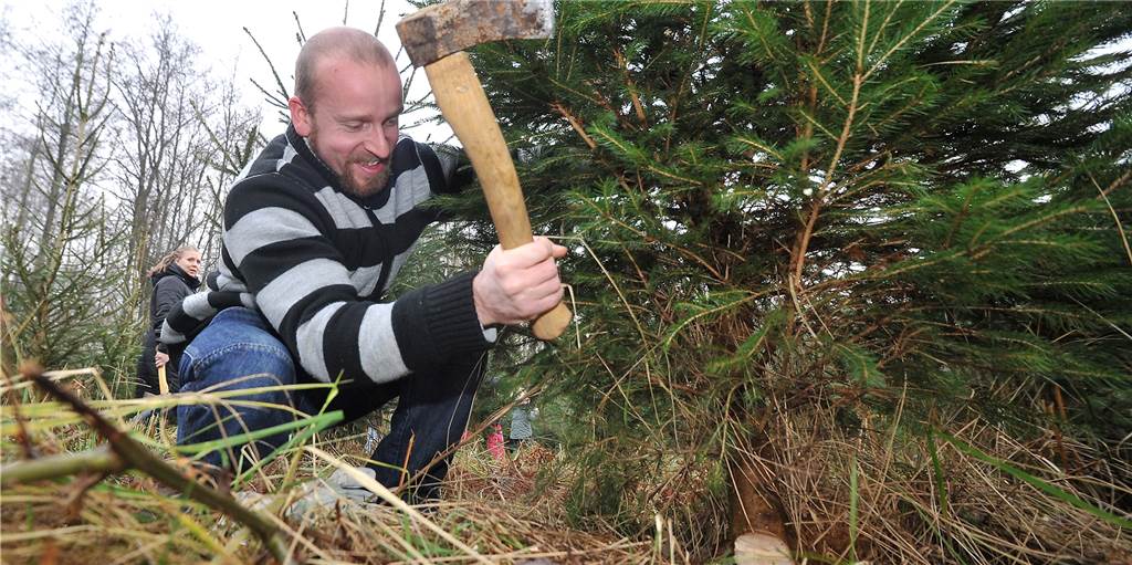Hier können Sie in der Region Ihren Weihnachtsbaum selber sägen Wer seinen Baum nicht nur einfach kaufen, sondern selber erlegen möchte, kann das auch im zweiten Corona-Winter tun.