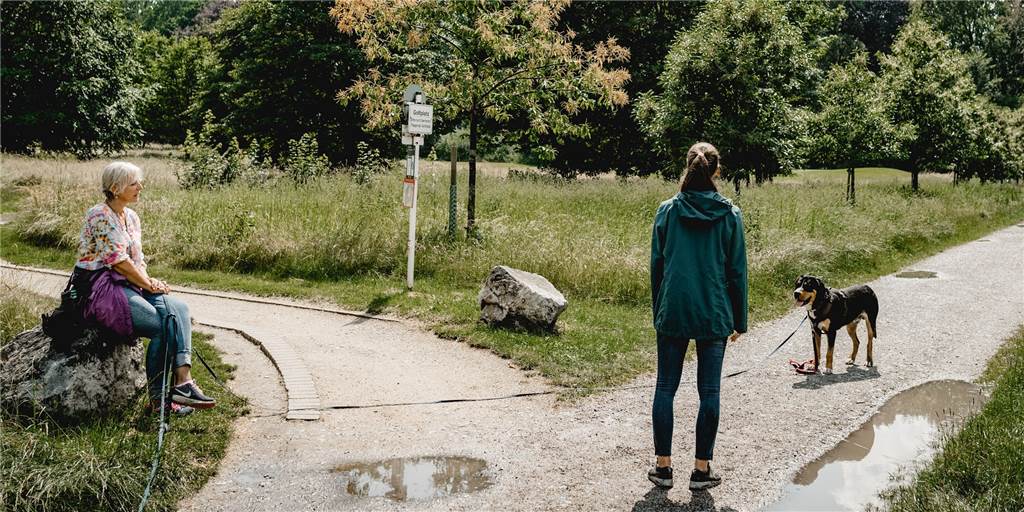 So geben Sie ihrem Hund beim Spaziergang „Ruhe und Sicherheit“ So geben Sie ihrem Hund beim Spaziergang „Ruhe und Sicherheit“