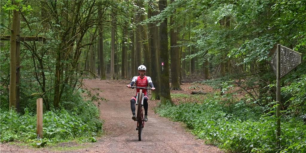 Sportliches Naturerlebnis: Auf dem Mountainbike durch die Haard Unterwegs auf dem RVR-Mountainbike-Trail am Dachsberg in Flaesheim.