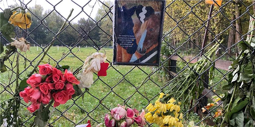 Mysteriöser Pferde-Tod: Polizei muss nun doch wieder ermitteln Viele Dorstener haben Ende September Anteil genommen am Tod von Bahila. Am Zaun zur Weide in Holsterhausen wurden Bilder und Blumen abgelegt.