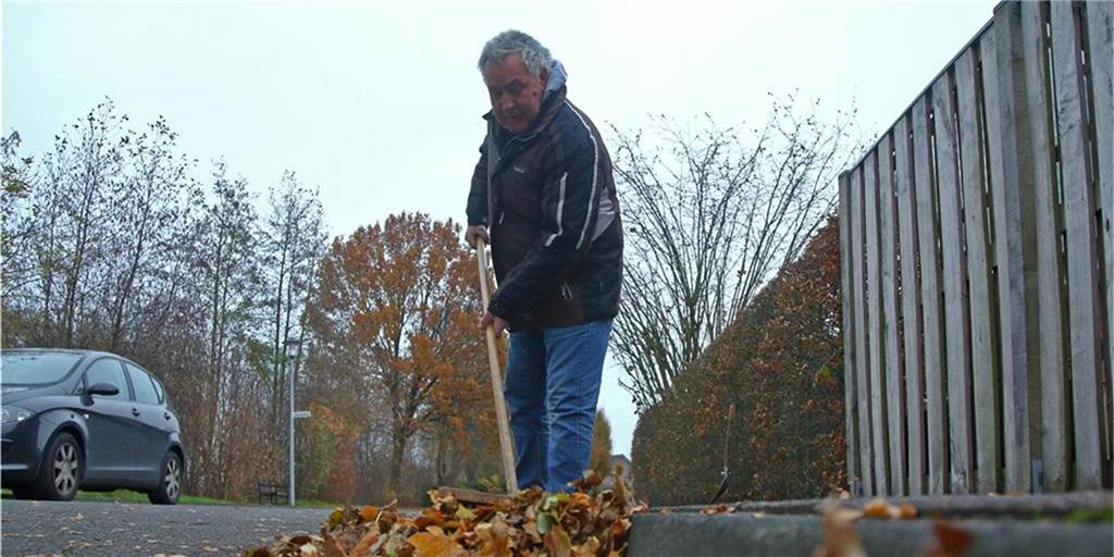 Herbstlaub: Mit temporären Gratis-Mülltonnen zu mehr Akzeptanz Auch Haus- oder Grundstücksbesitzer müssen in Heek im Herbst auf den Bürgersteigen zu Harke, Besen oder Laubbläser greifen.