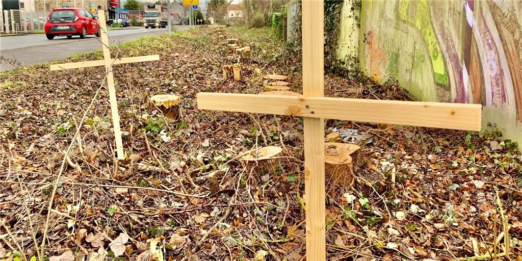 Hagener Straße: Ein halbes Dutzend Holzkreuze erinnert an gefällte Bäume Hagener Straße: Ein halbes Dutzend Holzkreuze erinnert an gefällte Bäume