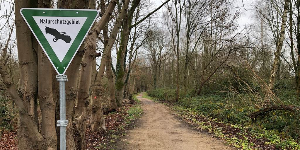 SPD will Verbindung zwischen Kurl und Husen als Fuß-/Radweg herrichten Diesen Weg - die Verlängerung der Plaßstraße - möchte die SPD in der Bezirksvertretung Scharnhorst herrichten lassen