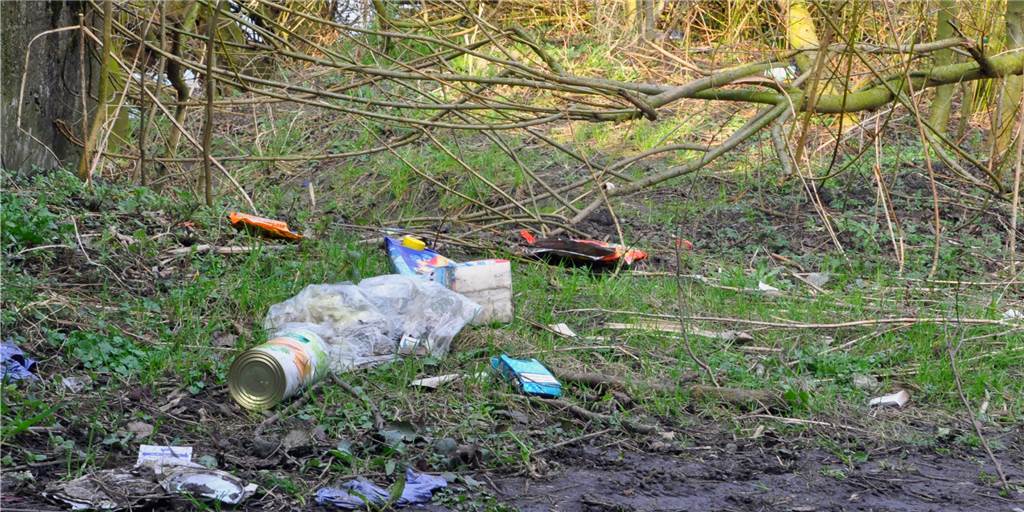 Wilde Müllkippen: Illegale Abfallentsorgung in Werne ist weiterhin ein Problem So wie hier am Lippeufer/Nähe Fischerhofbrücke 2015 gibt es immer wieder wilde Müllkippen in Werne