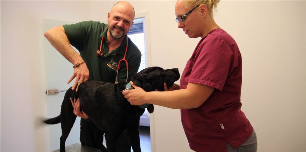 Knallerei und Nebeneffekte: Stress und Panik bei Tieren vorprogrammiert Mit Hunden und anderen Fluchttieren kennt sich der Nienborger Tierarzt Björn Becker aus. Er weiß, warum sie sich vor der Silvesterknallerei fürchten.