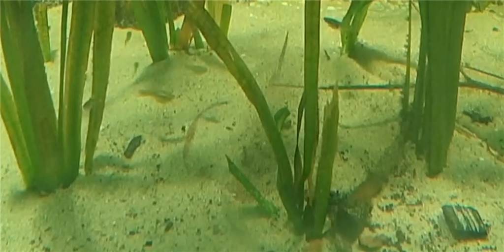 Versteckt sich hier Dortmunds hässlichstes Tierbaby? Auf diesem Bild versteckt sich der Nachwuchs aus dem Amazonas-Haus. Finden Sie ihn?