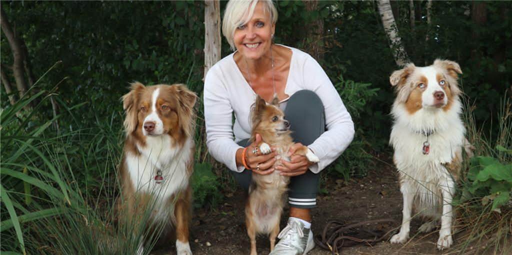 So können sie Begegnungen mit anderen Hunden souverän meistern So können sie Begegnungen mit anderen Hunden souverän meistern