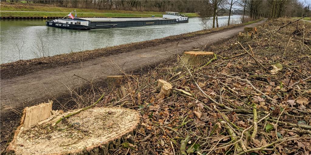 Bäume gefällt: Neubau einer maroden Kanalbrücke in Dorsten rückt näher Auch in Höhe des neuen Brückenstandorts wurden die Bäume für die neue Kanalbrücke in Östrich gerodet. Im Hintergrund die alte Brücke 350 Meter weiter östlich.