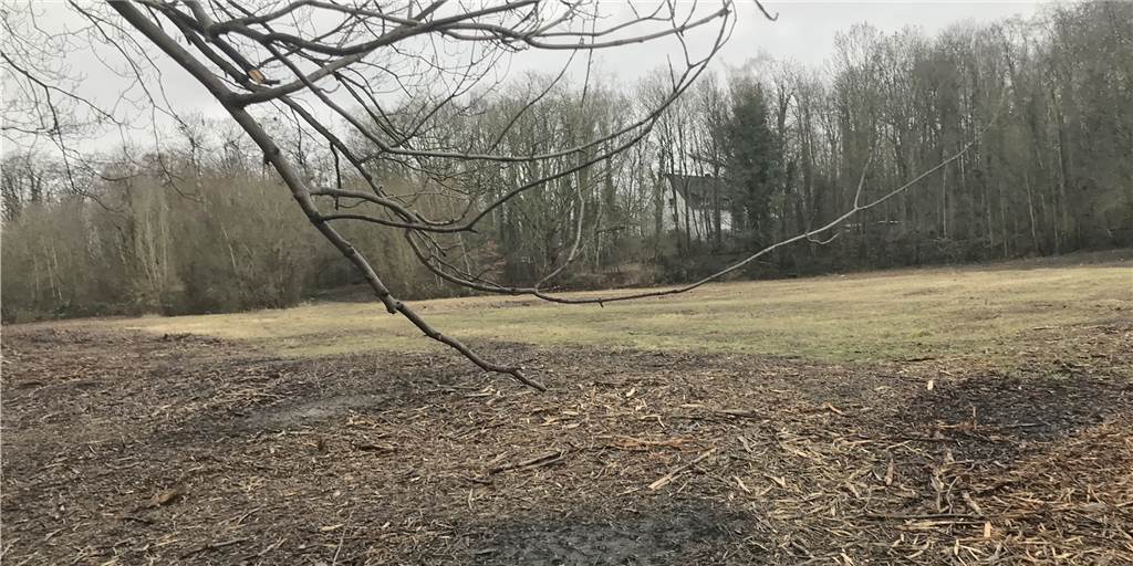 Geplantes Baugebiet gerodet: Wie geht es weiter auf Schacht 3/4? Hier wurden Sträucher gerodet: Die Fläche ist über den Jahreswechsel bearbeitet worden. Hier soll einmal Bauland entstehen.