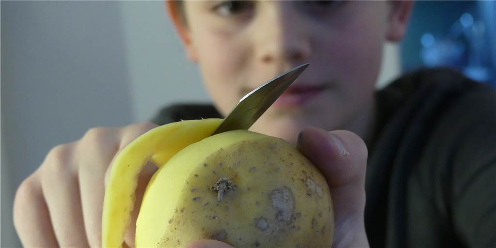 Keine Angst vor scharfen Messern: Wie man mit Kindern kocht Keine Angst vor scharfen Messern: Wie man mit Kindern kocht