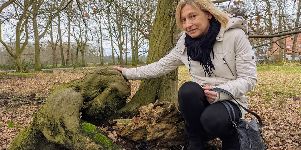 Das Geheimnis des unglaublichen „Gorilla-Baums“ von Dorsten Astrid Czirnek hat während eines Spaziergangs diesen Baumstamm entdeckt, der im Laufe der Jahre zum Ebenbild eines "Gorillas" herangewachsen ist.
