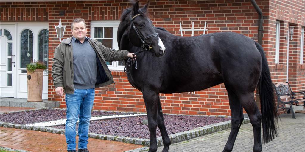 Höchstzuschlag: Züchter aus Alstätte verkauft Hengst für mehr als 75.000 Euro Der Alstätter Bruno Blome hat drei Zuchtstuten auf seiner Weide.