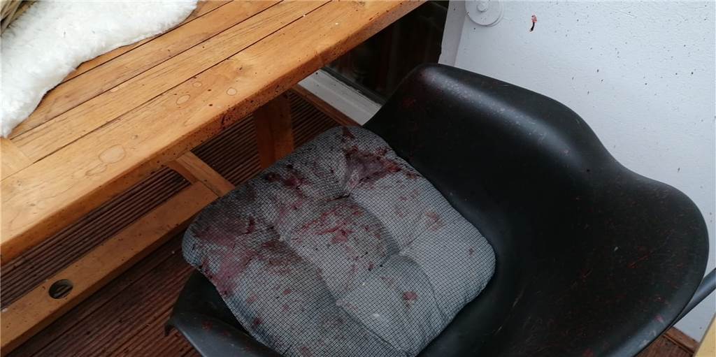 Vredenerin findet Blut auf der Terrasse – Polizei schreibt nur einen Bericht Sonja Möller hat auf ihrer Terrasse Blut gefunden.