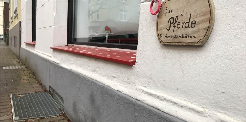 Aus für Laden im Kreuzviertel: „Dabei hätte das Konzept funktioniert“ Der Ring zum Anleinen der mitgebrachten Pferde und Ameisenbären hängt noch am Laden. Die Fenster sind allerdings zugeklebt.