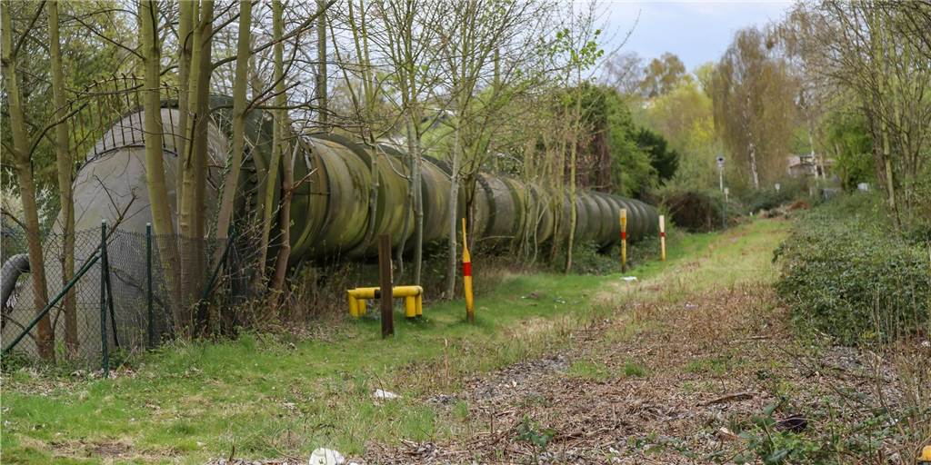 Gartenstadt-Radweg: Rodungen bereiten das erste Teilstück vor Die ehemalige Bahntrasse von Hoesch wird zum Radweg umfunktioniert, der vom Phoenix-See bis zur Westfalenhütte führt.