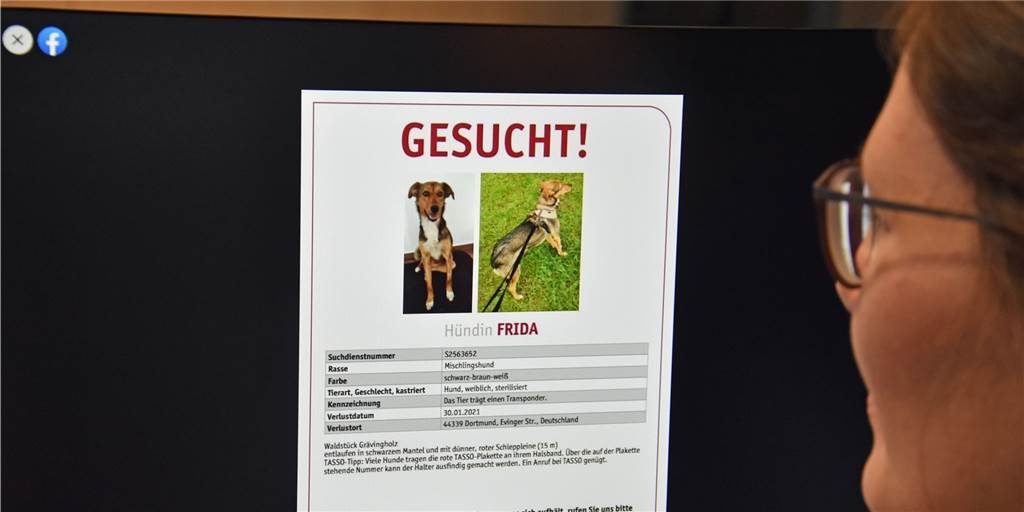 Hündin entlaufen: Anderes Tier half bei langer Suche in Dortmunder Wald Über das Soziale Netzwerk Facebook wurde die Suchmeldung von Hündin Frida vielfach geteilt.