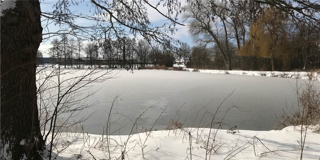 Betreten der gefrorenen Eisflächen in Vreden ist reizvoll – aber verboten Eine Eisschicht hat sich über den kompletten Berkelsee in Vreden gezogen. Schlittschuhfahren ist hier jedoch verboten - und extrem gefährlich.