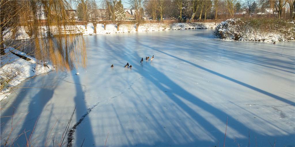 Feuerwehr warnt: Gefrorene Gewässer bergen tödliche Einbruchgefahr Wunderschön und gefährlich zugleich, wenn man nicht auf die Warnung der Feuerwehr hört: Die Eisfläche auf dem Stiegenpark-See.